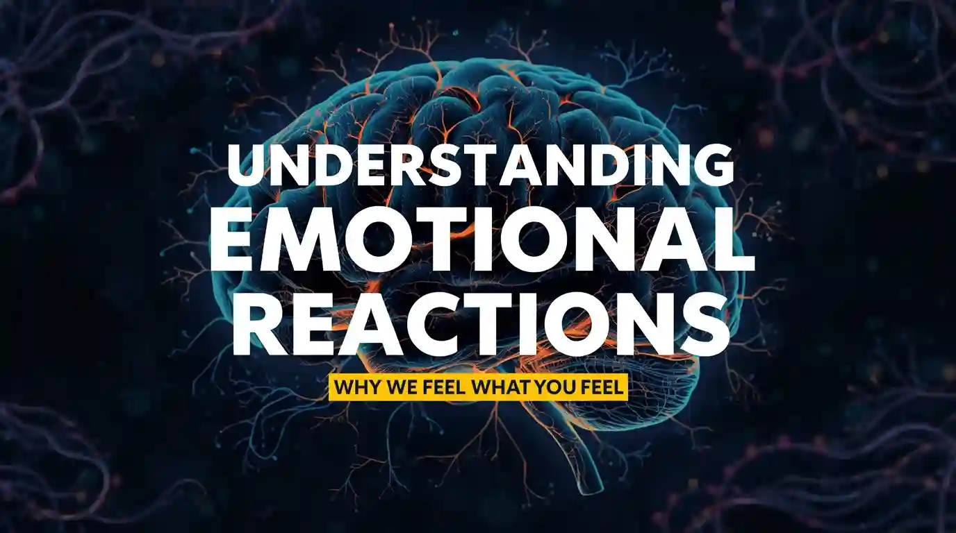 Understanding Emotional Reactions: Why We Feel What We Feel